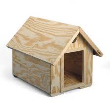 dog house
